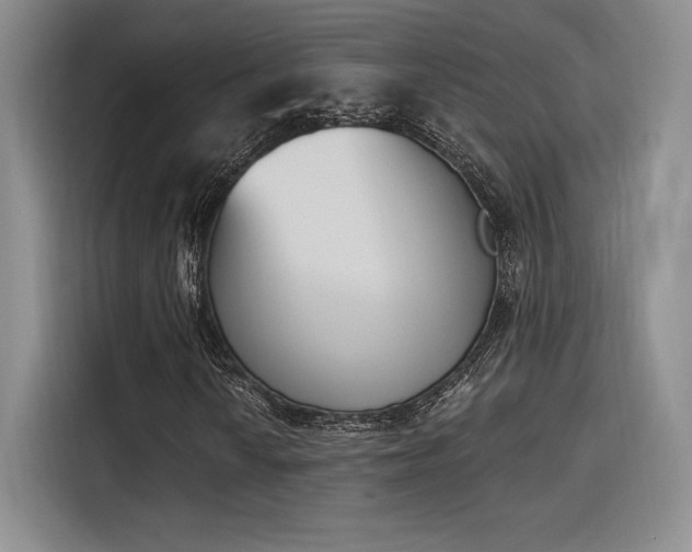X0000114241010200910161628