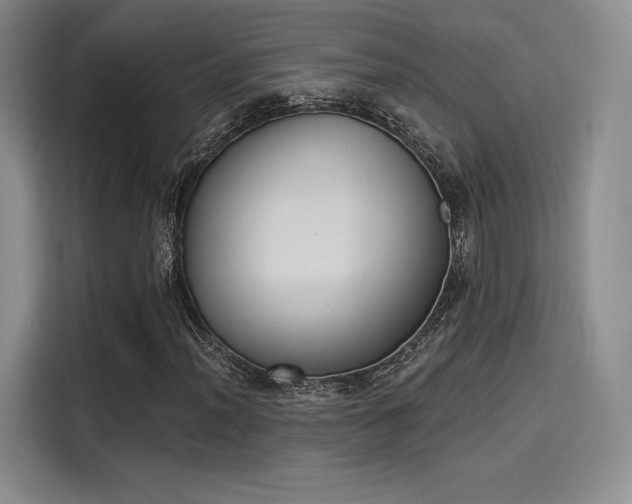 X0000114241012200910161628