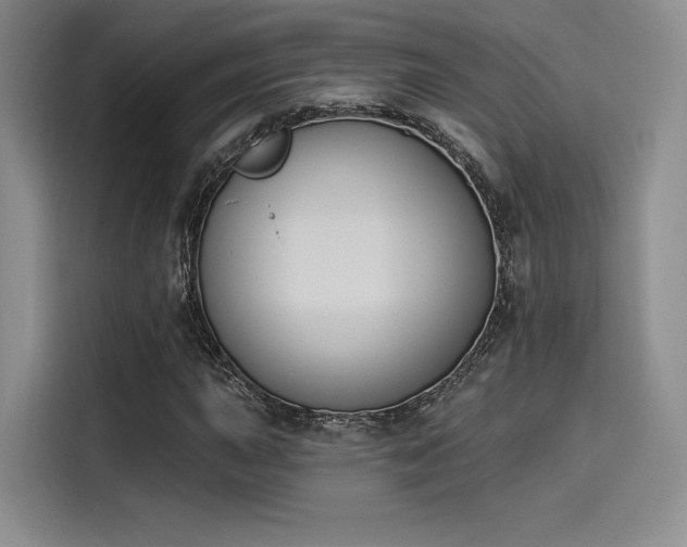 X0000114241015200910161628