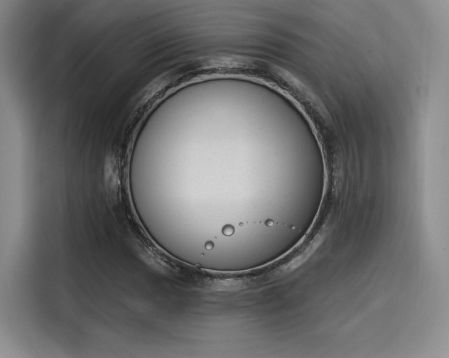 X0000114241017200910161628