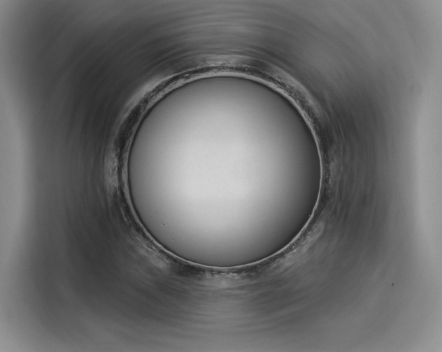 X0000114241019200910161628