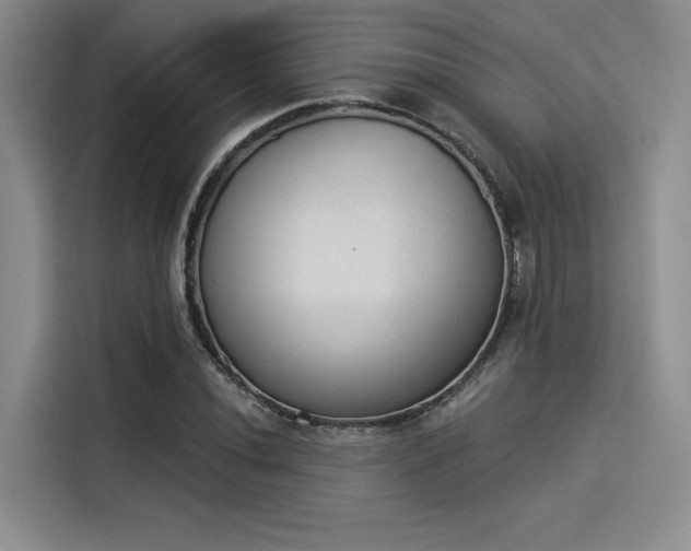 X0000114241020200910161628