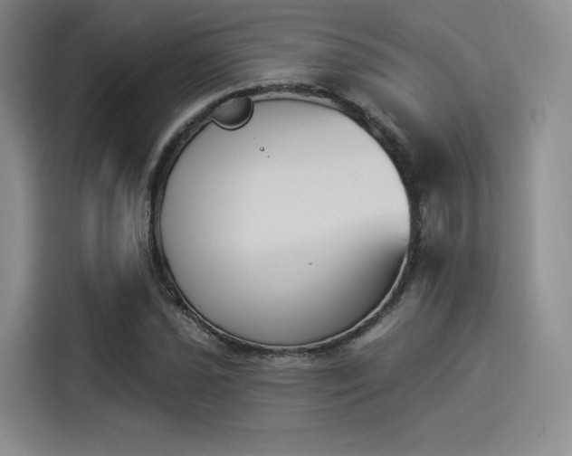 X0000114241021200910161628