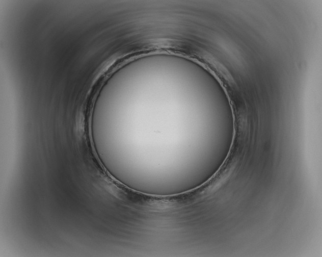 X0000114241023200910161628