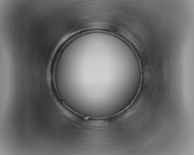 X0000114241024200910161628