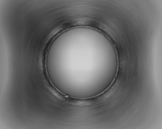 X0000114241026200910161628