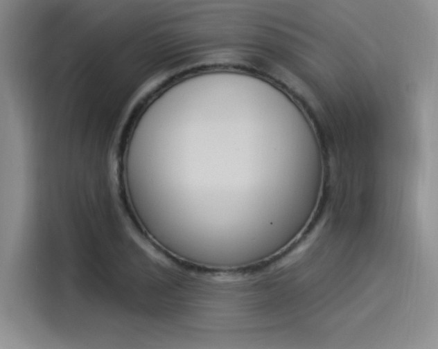 X0000114241029200910161629