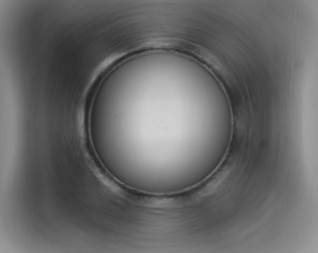 X0000114241030200910161629
