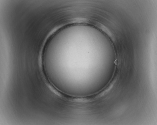 X0000114241037200910161629