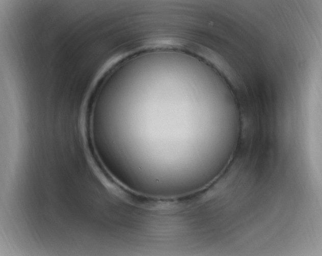 X0000114241038200910161629