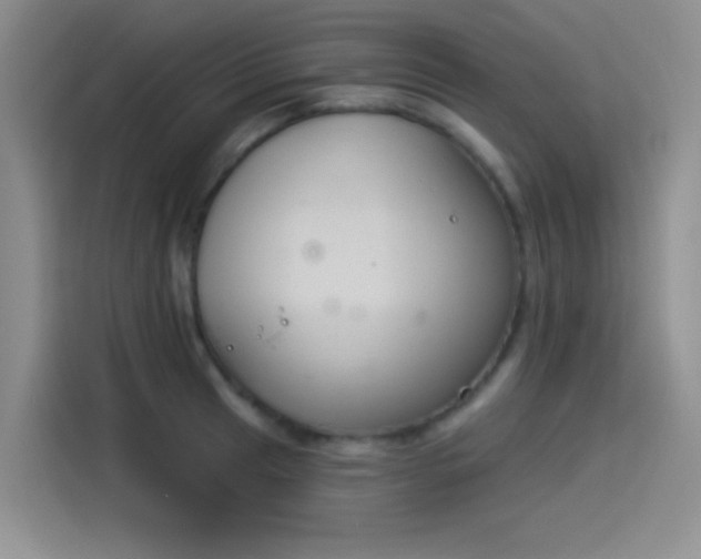 X0000114241041200910161629