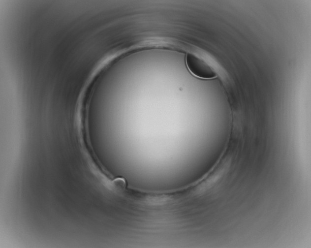 X0000114241046200910161629