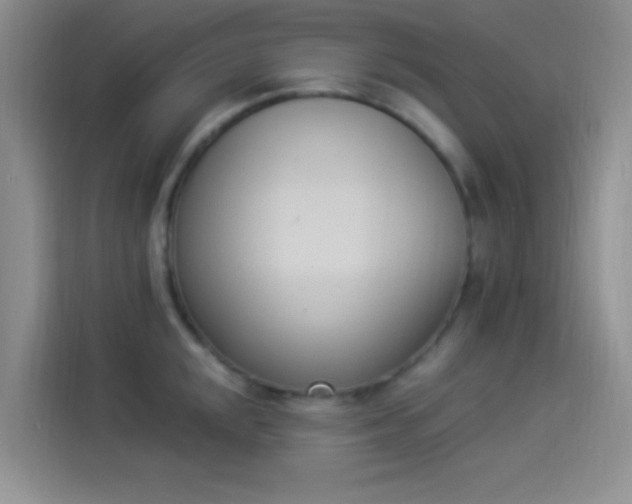 X0000114241048200910161629