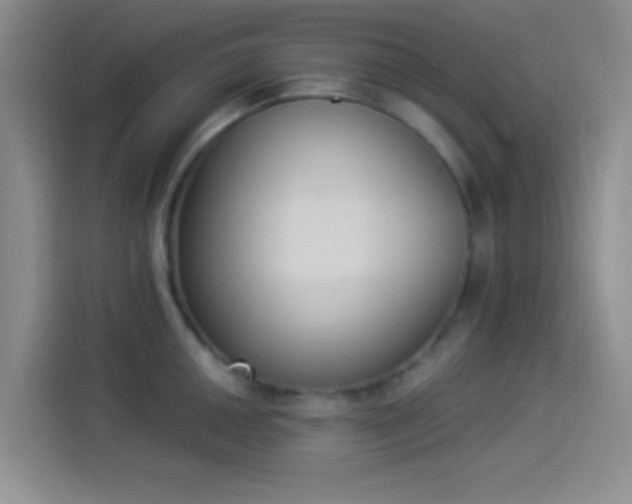 X0000114241050200910161629