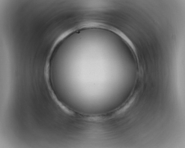 X0000114241053200910161629