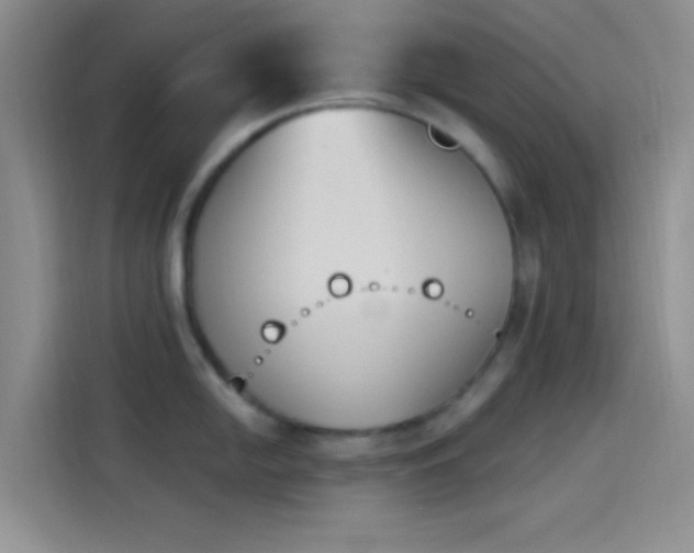 X0000114241054200910161629