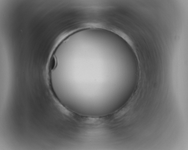 X0000114241056200910161629