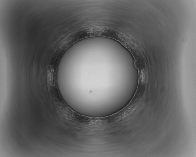 X0000114241059200910161628