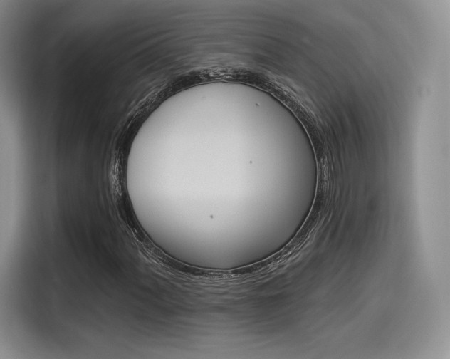 X0000114241060200910161628