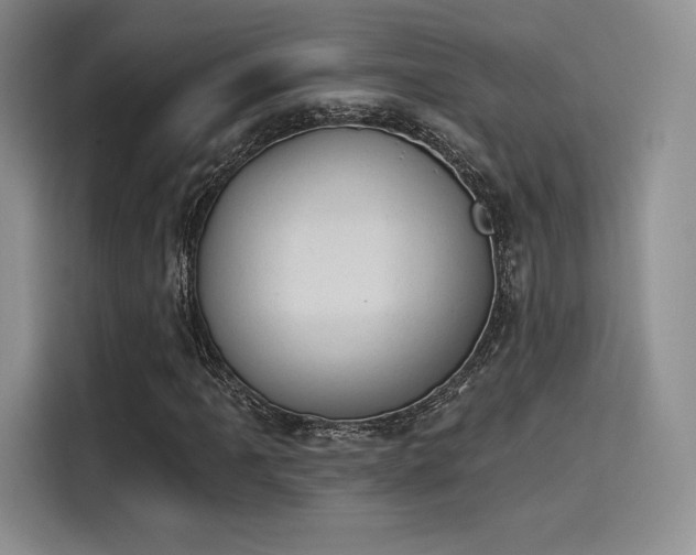 X0000114241061200910161628