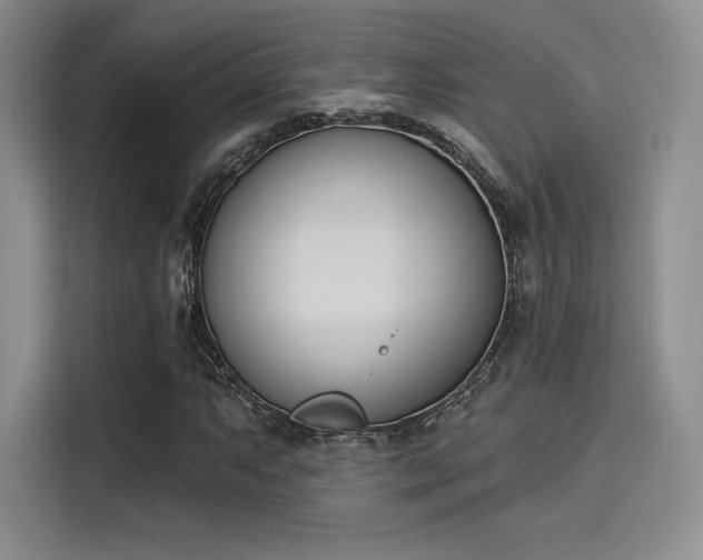 X0000114241063200910161628