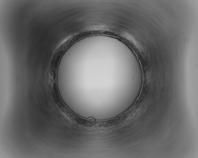 X0000114241064200910161628