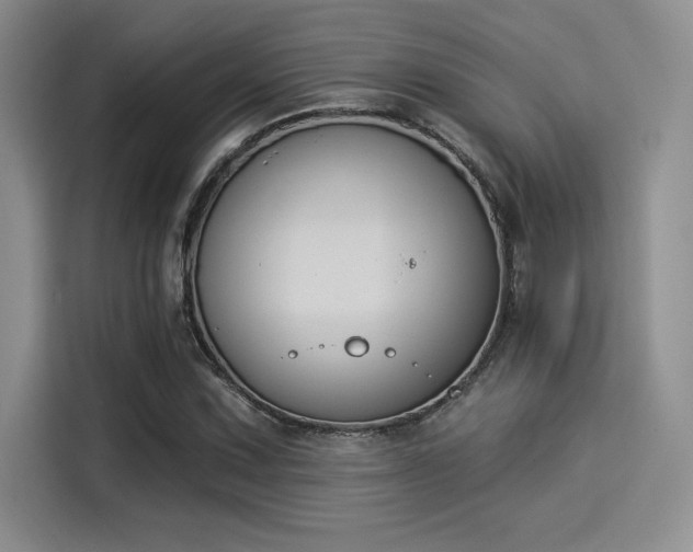 X0000114241067200910161628