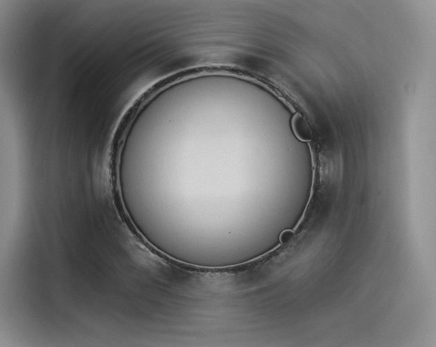 X0000114241068200910161628