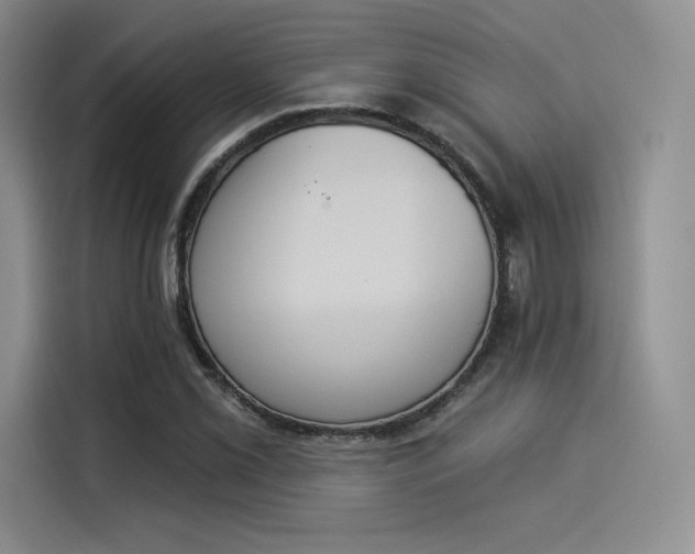 X0000114241069200910161628
