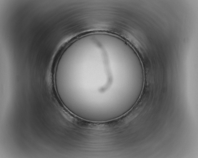 X0000114241072200910161628