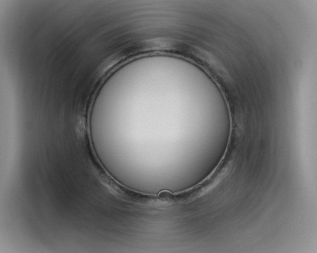 X0000114241073200910161628