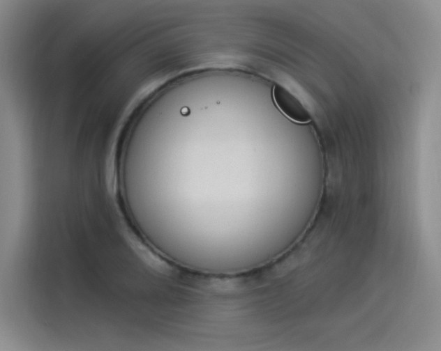 X0000114241080200910161628