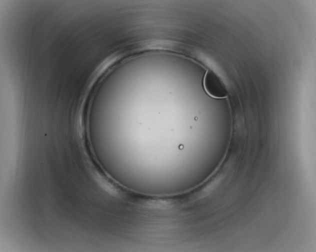 X0000114241082200910161628