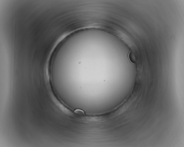 X0000114241084200910161628