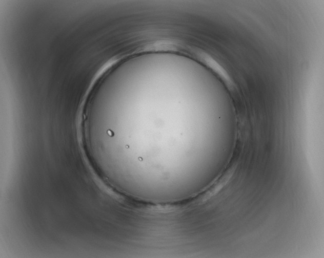 X0000114241087200910161628