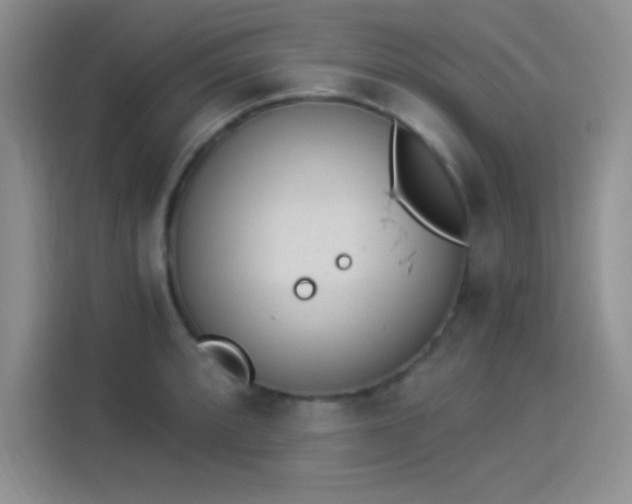 X0000114241088200910161628