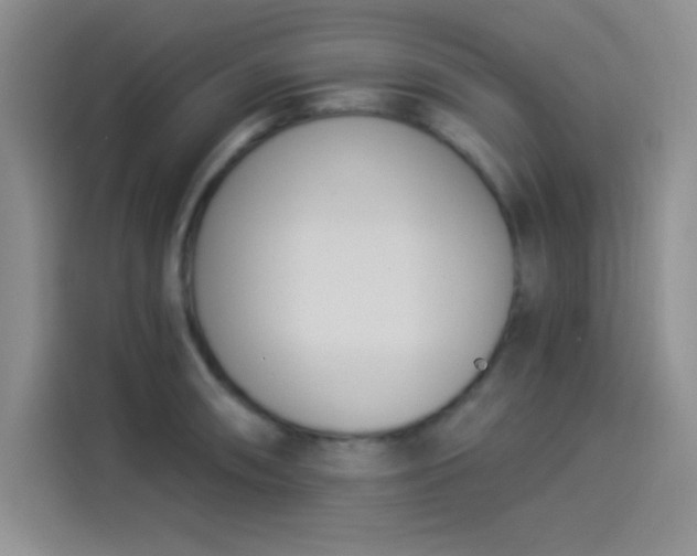 X0000114241090200910161628