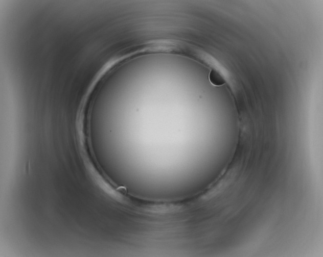 X0000114241091200910161628