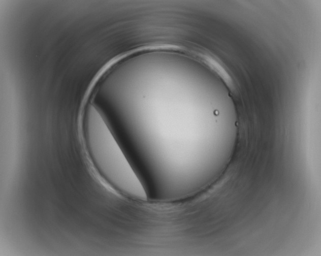 X0000114241092200910161628