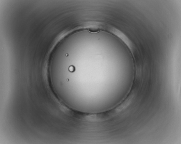 X0000114241093200910161628