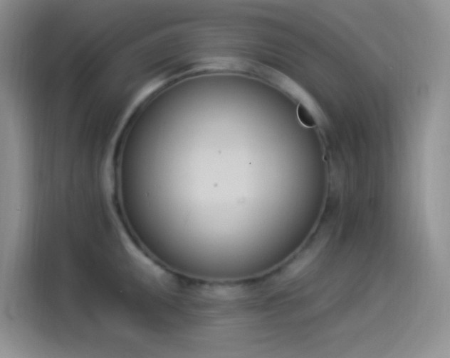 X0000114241095200910161628