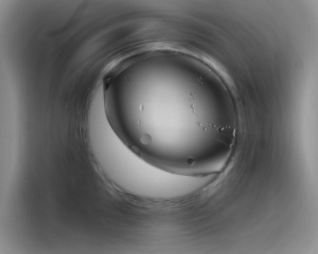 X0000114241097200910161628
