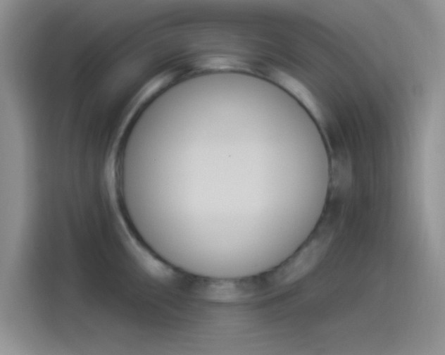 X0000114241098200910161628
