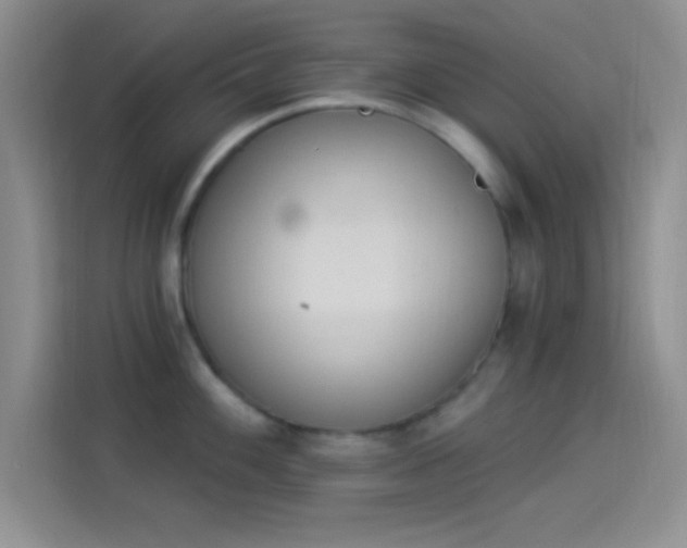 X0000114241100200910161628