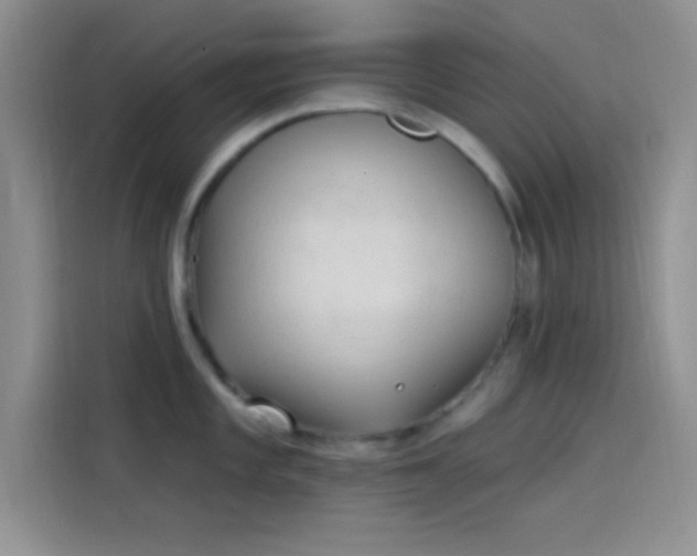 X0000114241101200910161628
