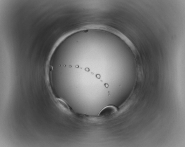 X0000114241102200910161628