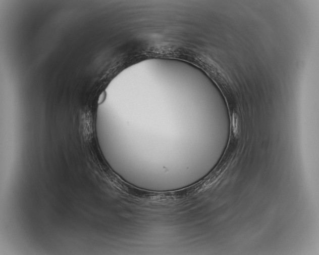 X0000114241107200910161627