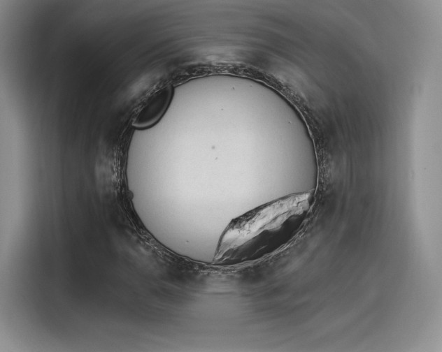 X0000114241110200910161627