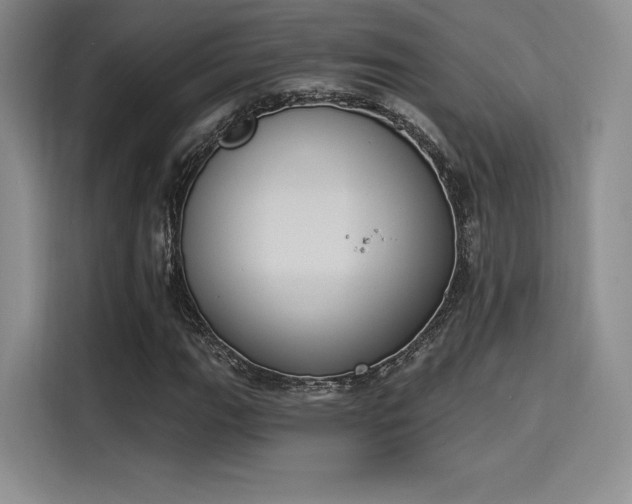 X0000114241111200910161627