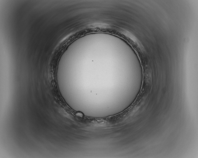 X0000114241112200910161627